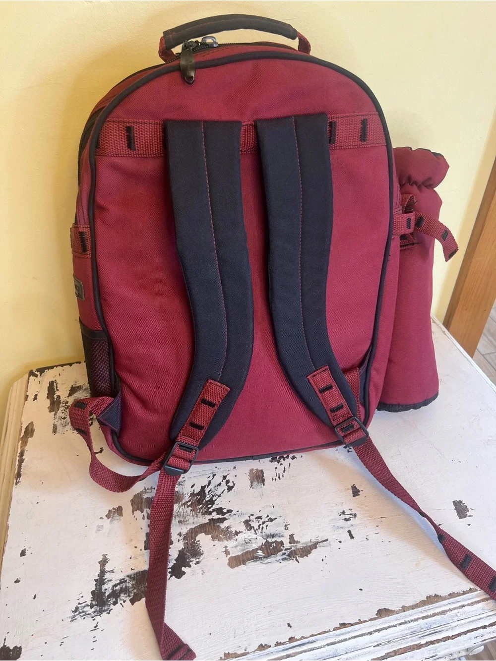 Mazda Miata 2000 Special Edition Backpack Picnic Set